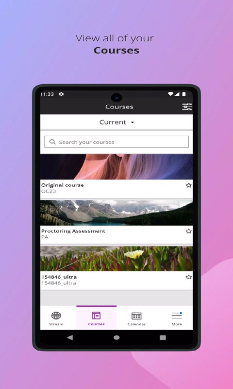 blackboard截图3