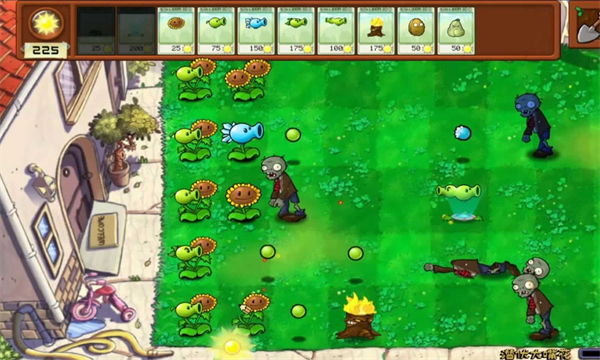 植物大战僵尸拼接版手游截图5