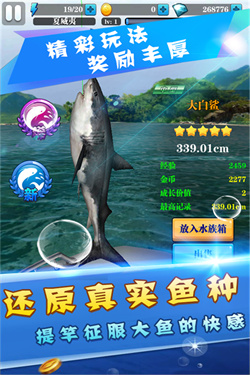天天爱钓鱼截图3
