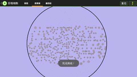 细胞实验室截图4