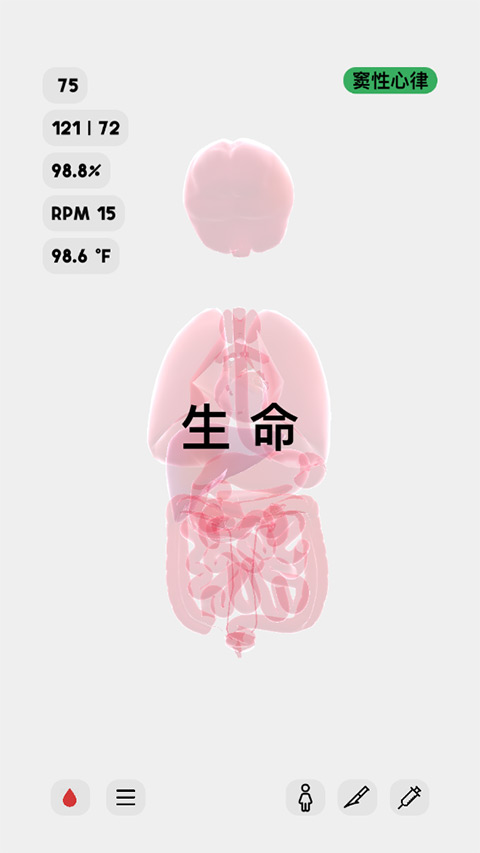 生命LIFE截图1