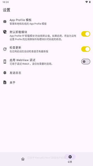 KernelSU面具截图2