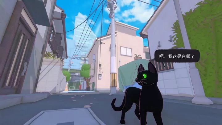 小猫咪大城市游戏截图5