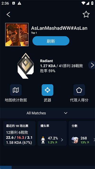 瓦罗兰特国际服战绩查询截图2