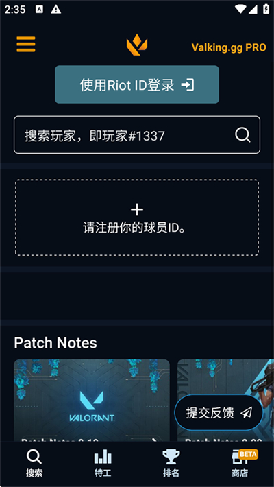 瓦罗兰特国际服战绩查询截图4