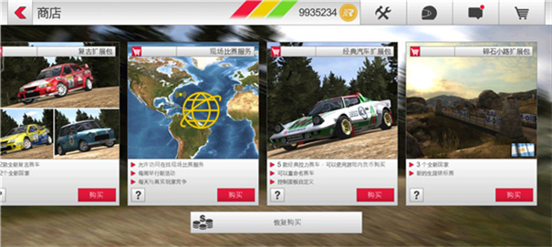 拉力赛车3截图1