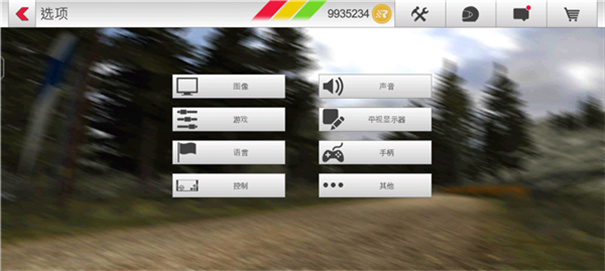 拉力赛车3截图2