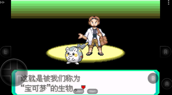 口袋妖怪究极绿宝石小智版2
