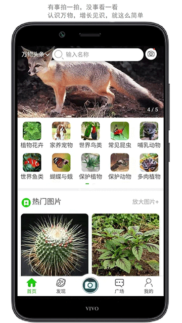 万物志app截图1
