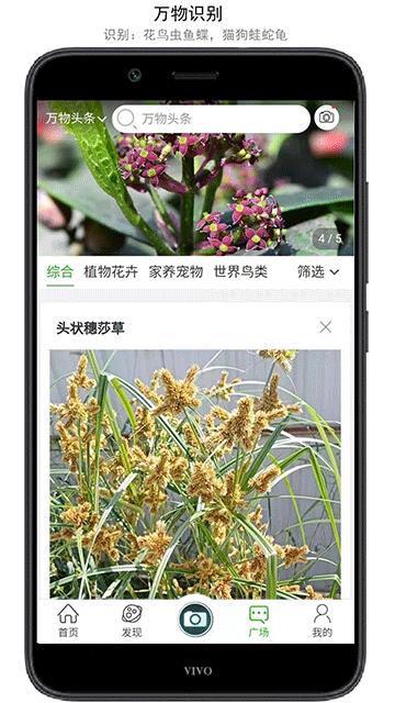 万物志app截图3