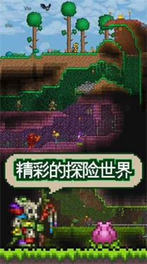 泰拉瑞亚修改器截图3