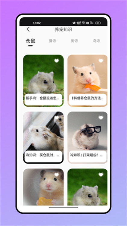 仓鼠翻译器截图2