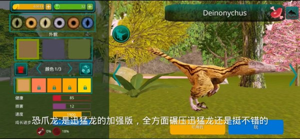 诅咒之岛正版
