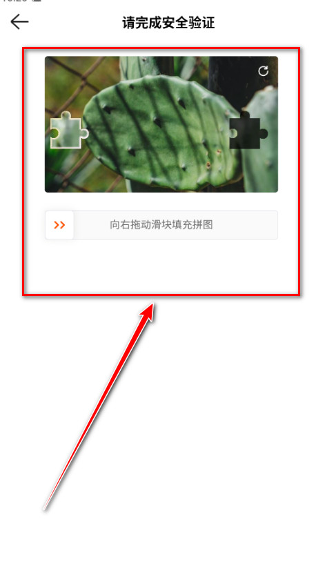快手国际版