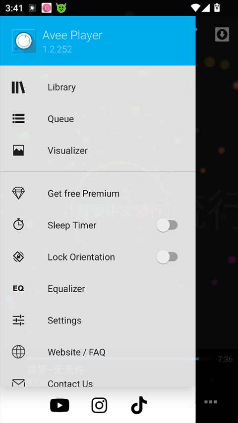 aveeplayer截图2