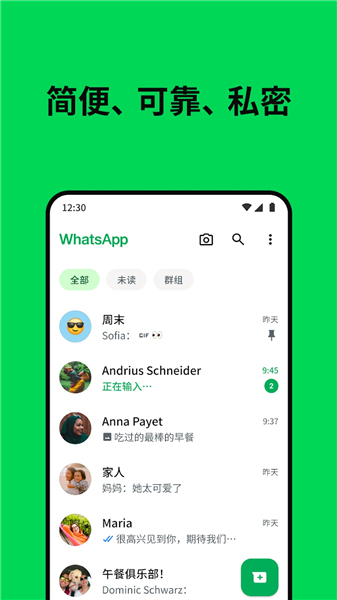 WhatsApp海外版截图2