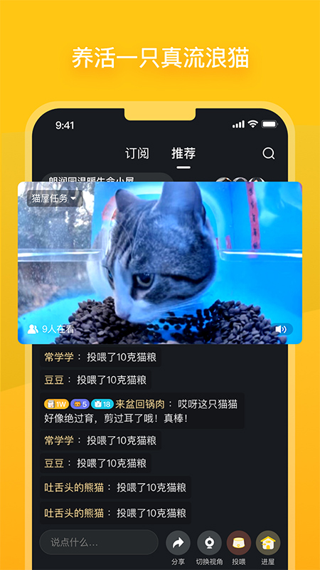 哈啰街猫截图4