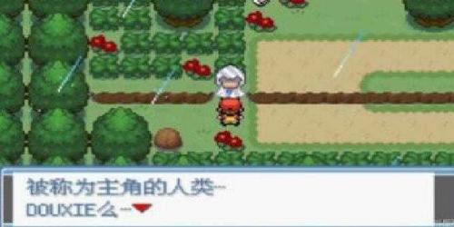口袋妖怪绿宝石随机版截图5