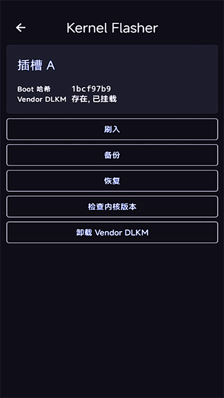 Kernel Flasher Weishu截图2