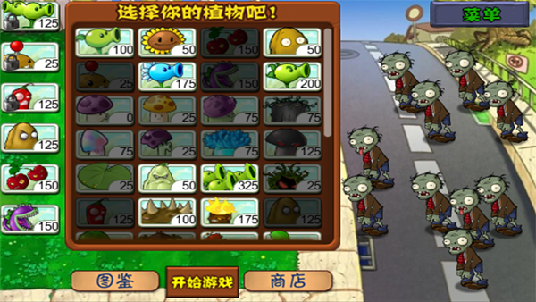 原版植物大战僵尸14