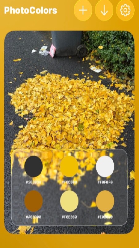 photocolors完整版截图3