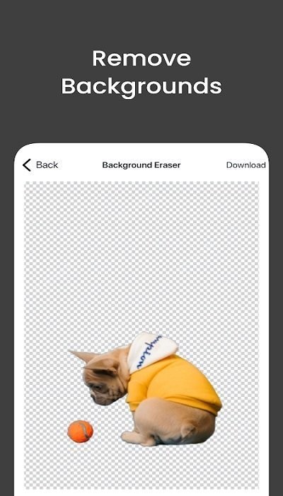 magicstudio手机版截图4