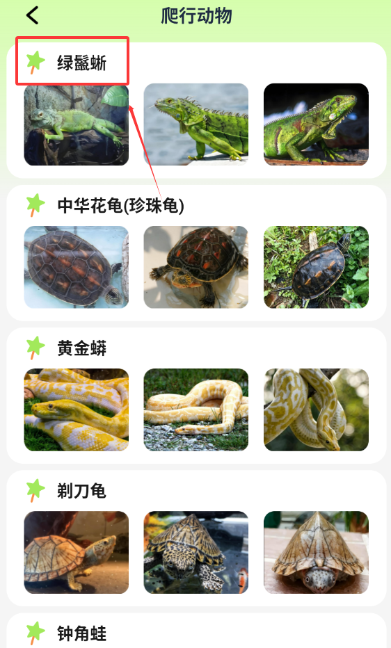 图图宠物百科截图2