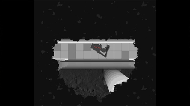 体内寄生虫2截图2