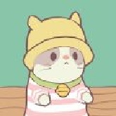 猫咪豪宅