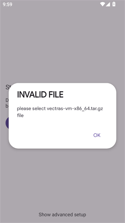 zero VectrasVM安卓版截图1