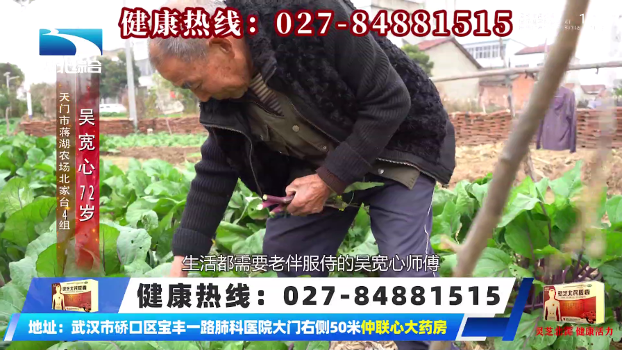 山河TV电视版官方版截图2