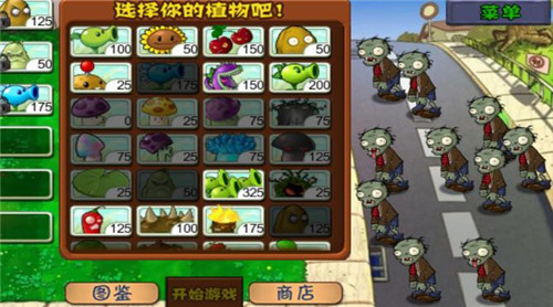 植物大战僵尸一代原版3