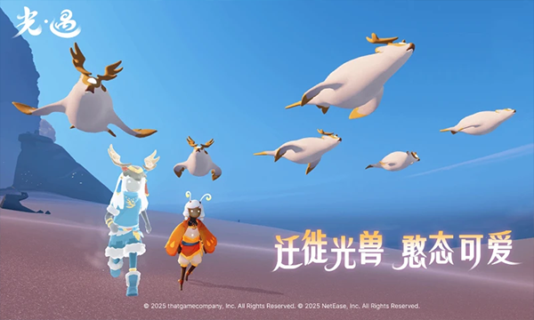 光遇截图4