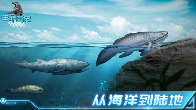 生命简史古生物放置截图2