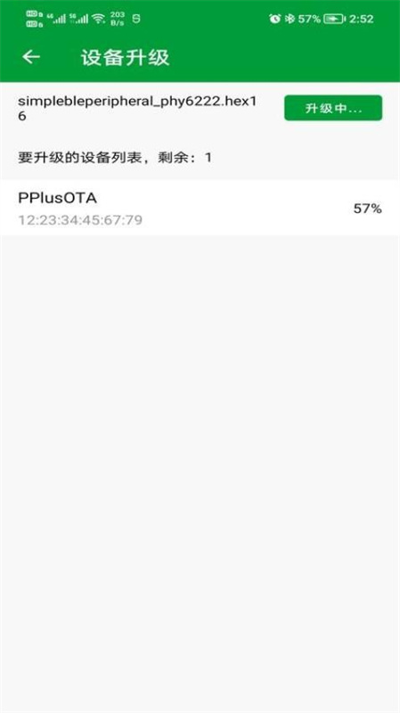phyota1