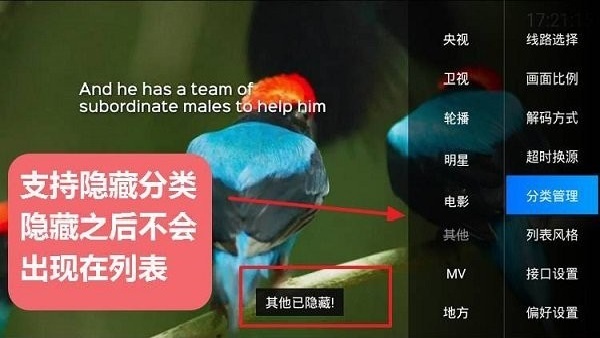 DIYP影音截图1