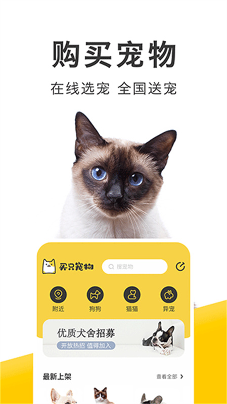 买只宠物截图2