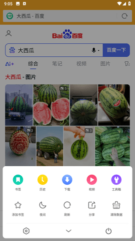 Fiery浏览器截图3