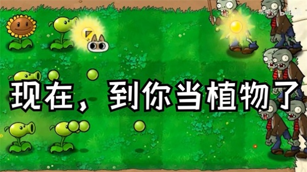 植物大战僵尸繁琐版截图2