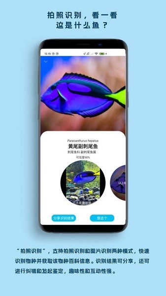 看鱼软件截图2