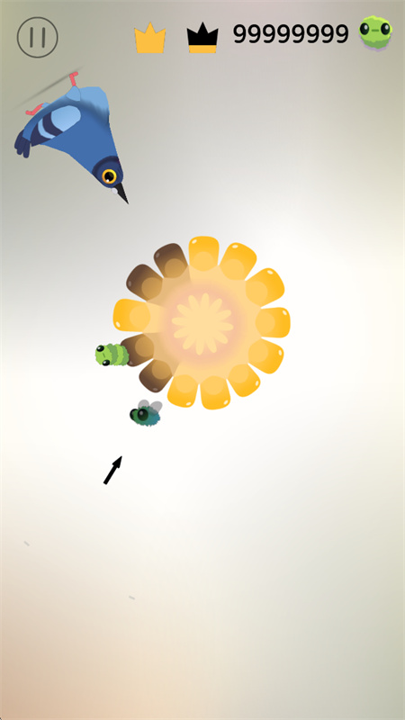 Pigeon Pop截图5