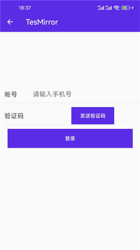 tesmirror投屏3