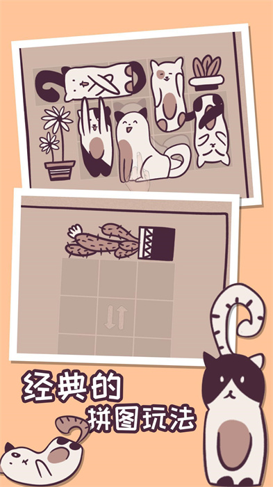 我的小猫贼好看截图2