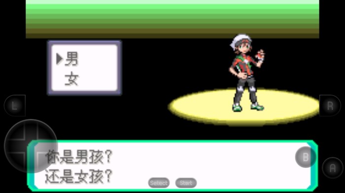 口袋妖怪究极绿宝石截图2