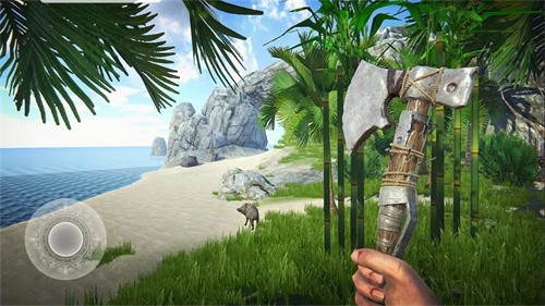 Last Pirate截图1
