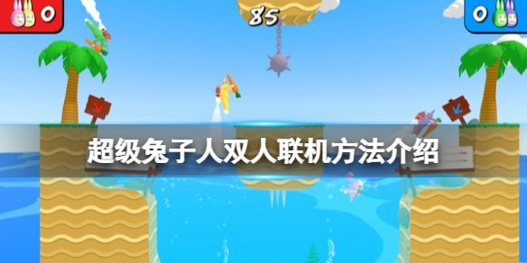 疯狂兔子人联机在哪里开-疯狂兔子人双人联机方法