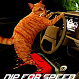 猫司机游戏手机版