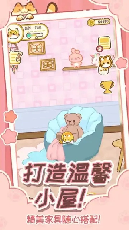 领养一只流浪猫1