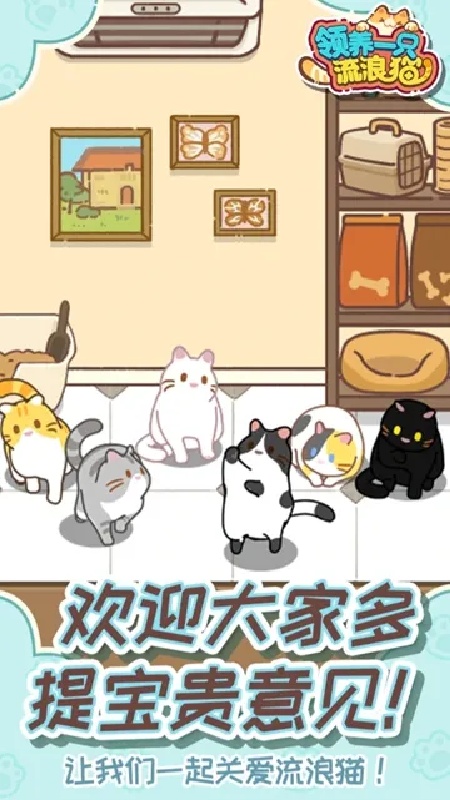 领养一只流浪猫4