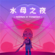 水母之夜